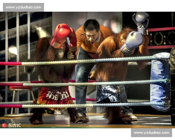 丑陋的比赛揭示了竞技精神与道德底线的冲突与考验